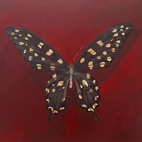 Exhibition: 'Academia' by Claire Engkaninan Low (until 6 July)